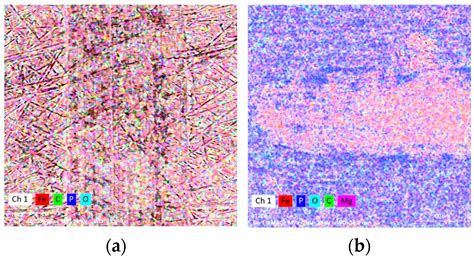Microstructural and Mechanical Properties Analysis of Phosphate Layers ...