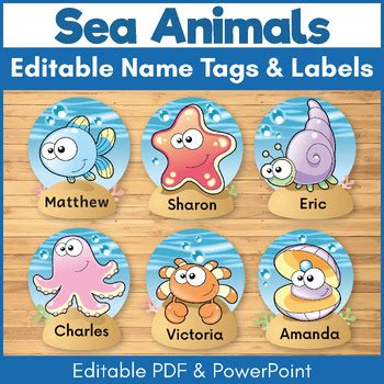 Summer Name Tags Bundle Editable BTS Classroom Cubby Locker Tags & Labels