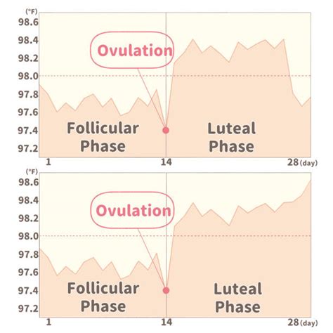 Period Cycle Graph 的图像结果