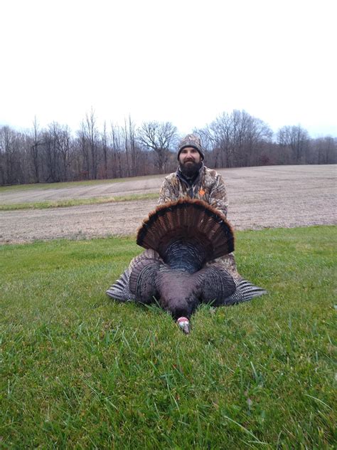 Last morning of fall turkey season in Ohio. First turkey to boot! : r ...
