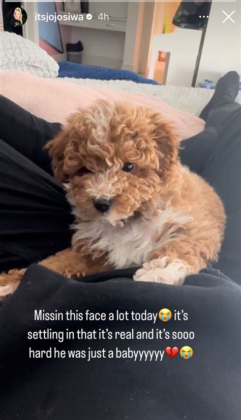 JoJo Siwa Reveals Her Puppy Tooie Was Tragically Killed In An 'Acci...