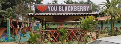 Blackberry Eco Resort in bagda beach Odisha