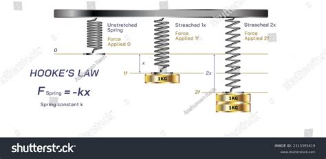 Spring Force 的图像结果