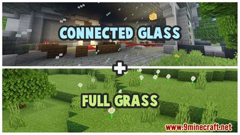 Texture Pack That Connects Glass for 1.18 Minecraft Java 的图像结果