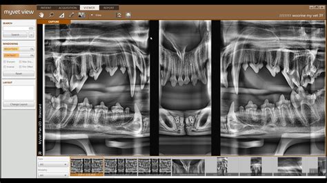 Veterinary Digial Intraoral X-Ray Solution