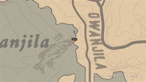Red Dead Redemption 2 Legendary Fish locations and how best to catch ...