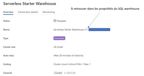 API Connection Databricks 的图像结果
