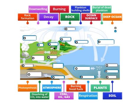 Cycle Graph Template 的图像结果