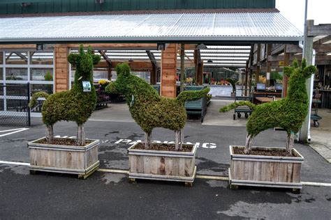 The Outlaw Gardener: What's New at Portland Avenue Nursery?