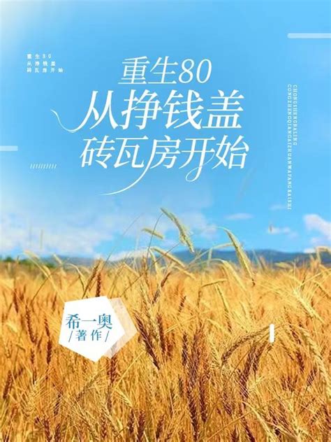 重生80：从挣钱盖砖瓦房开始(希一奥)_重生80：从挣钱盖砖瓦房开始最新章节免费阅读_我的书城网