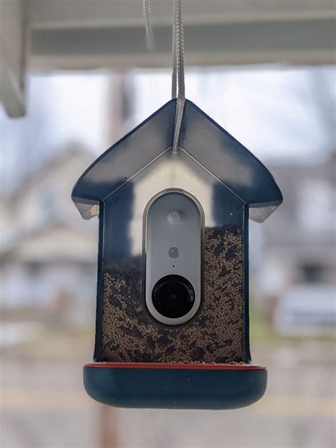 Bird Buddy Review: This Smart Bird Feeder Captures Your Backyard Birds ...