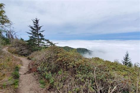 Mount LeConte hike ⛰ What is the best trail to get to Mt LeConte summit ...