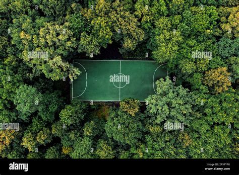 Sportsfield within Forest 的图像结果