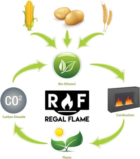 Buy Regal Flame Signature Ventless Bio Ethanol Fireplace Fuel - 24 ...