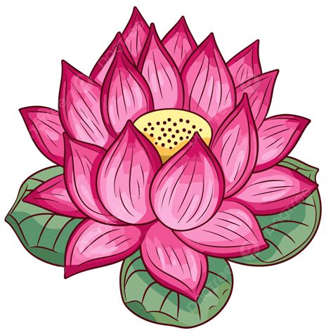 Lotus Flower Clipart