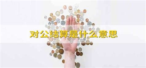 中国农业银行对公结算业务申请书改版