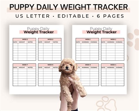 Cockapoo Weight Chart 的图像结果