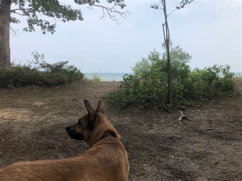 Negwegon State Park Campground | Harrisville, MI