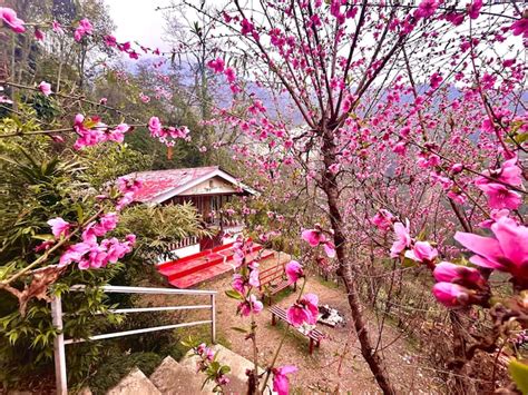 Rustic walnut cottage - waterfall & mountain view - Farm stays for Rent ...