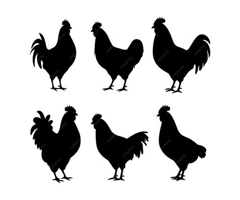 Premium Vector | Set of detailed quality vector silhouettes of chickens hens roosters