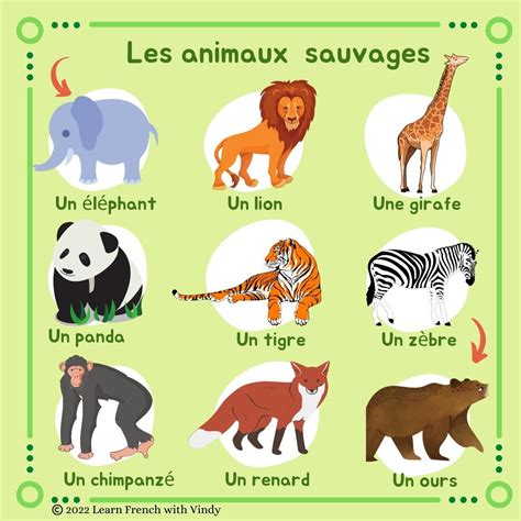 Les Animaux Sauvages Poster: French, English, Spanish Animal Names
