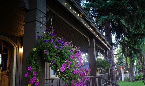 About Sisters Oregon Real Estate – Susan Bird