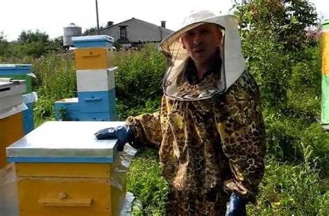 Разведение пчел с чего начать: Разведение пчел. Инструкция для ...