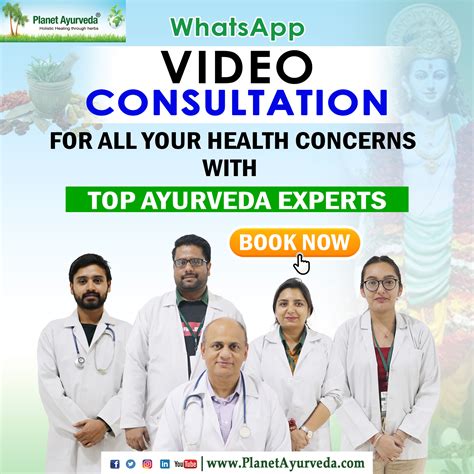 Milk Thistle / Silybum marianum / Silymarin - Classification, Ayurvedic Properties Dosage