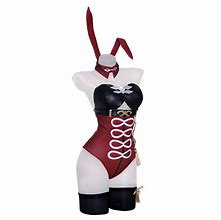 Image result for Anime Bunny Girl Cosplay