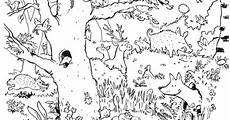 ausmalbilder tiere im wald zum ausdrucken als pdf natur wald tiere guckes ausmalbilder tiere im wald zum ausdrucken als pdf natur wald tiere guckes