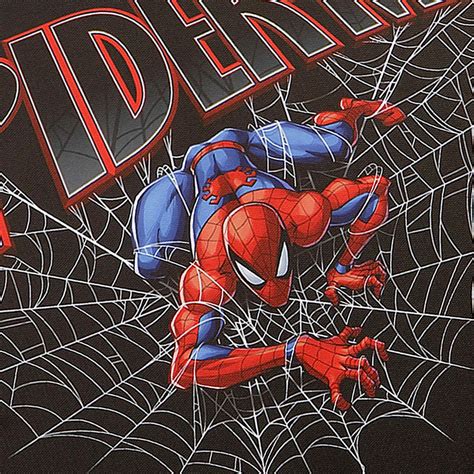 Spiderman Canvas Wall Art, 11x14 | At Home