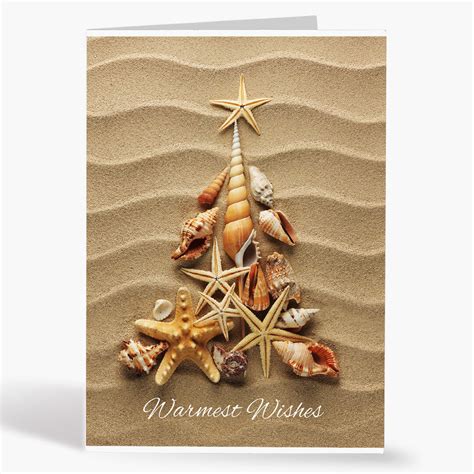 Beach Shell Wishes - Tropical Holiday Cards