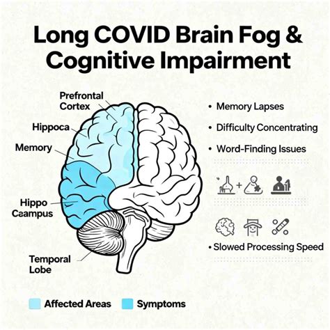 The Science Behind Long COVID Brain Fog: Natural Treatments