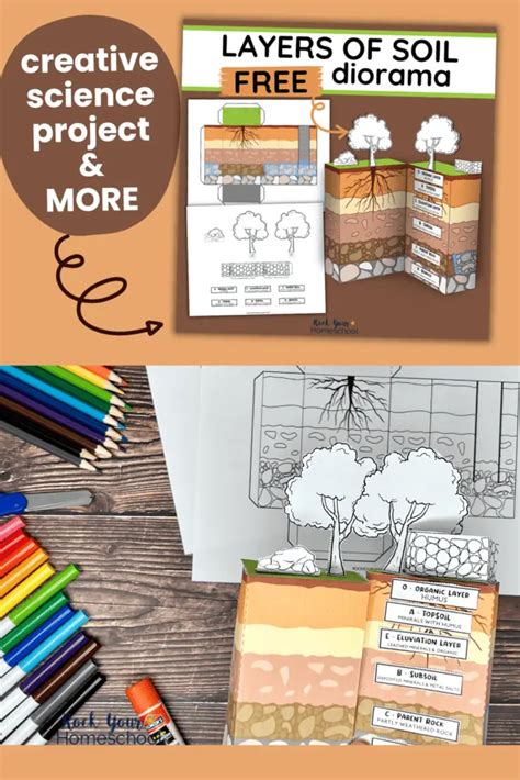 Soil Layers Science Project 的图像结果