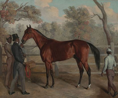 The life and legacy of Lexington, America’s greatest racehorse | Racehorse, Horses, Equestrian art