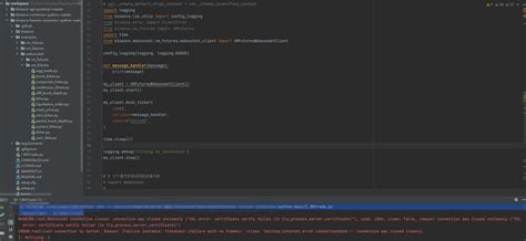Binance WebSocket Python API 的图像结果