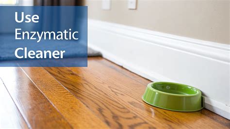 Best Hardwood Floor Cleaner for Pet Urine: Top Picks for Safe, Odor ...