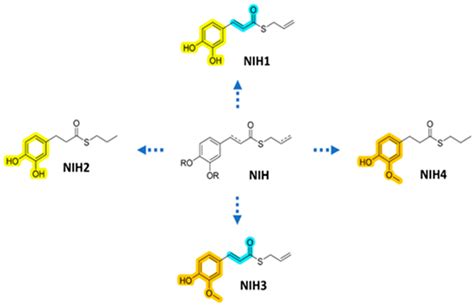 Nature-Inspired Hybrids (NIH) Improve Proteostasis by Activating Nrf2 ...