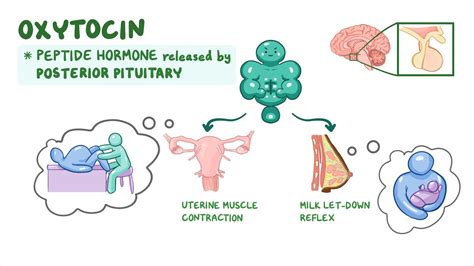 What Does Pitocin Do
