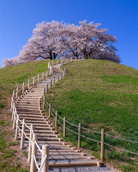 Japan Pretty Places 的图像结果