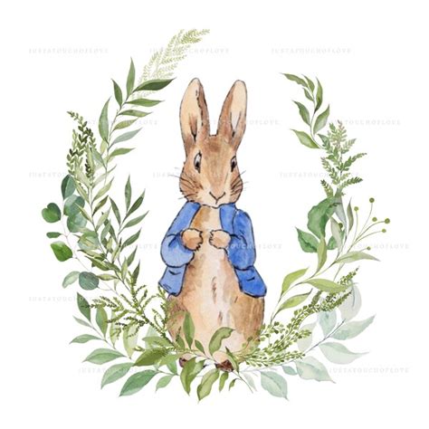 Image result for Rabbit SpO2