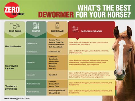 Horse Worming Schedule Chart at Lily Selwyn blog