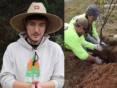 YouTuber Will Plant 4 Lakh Trees In India, Raised Rs 149 Crore To Plant ...