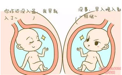 怀孕第35周准妈妈保健需知 - 怀孕第35周天胎儿发育图 - 怀孕第35周要吃什么 - 怀孕第35周注意什么 - 怀孕第35周介绍