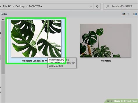 Image result for File Options Email