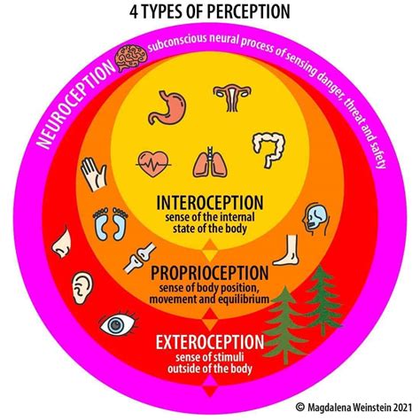 How Many Senses Do We Have? - Mandala Preston