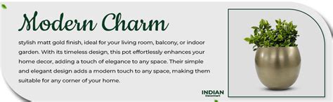 INDIAN DECORMART Premium Matt Gold Metal Pot for Home Decor – Classic ...
