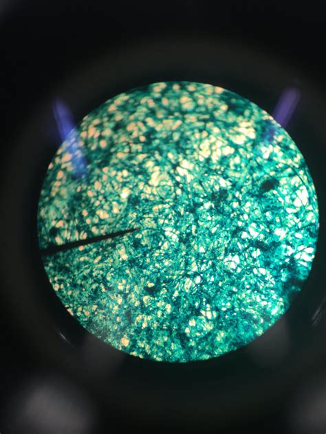 Diamine Aurora Borealis on Maruman Mnemosyne paper, under a microscope ...