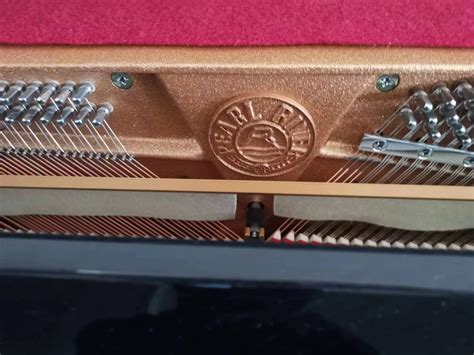 古筝D调琴码摆放图筝码位置示意图码子摆放图古筝乐器配件琴码纸-阿里巴巴