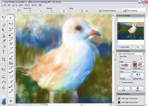 Image result for Corel Painter Essentials 8 Tutorial Part 1